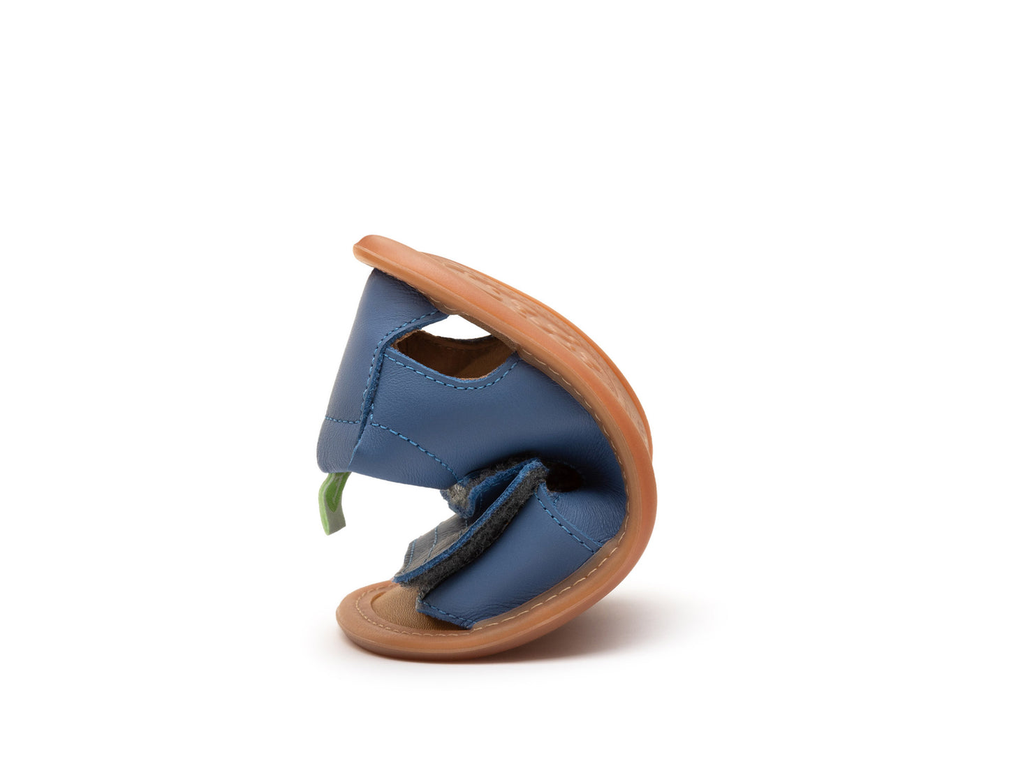 Tip Toey Joey - Sleeky (Blue Tang)