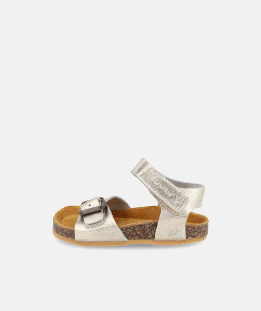 (PRE-VENDA) Blanditos by Crio's - Ponza (Champan)